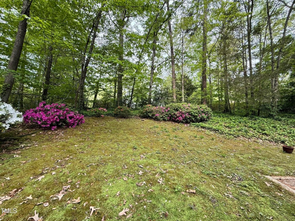 Landscaping with azaleas outside of a mid century modern house in durham north carolina.